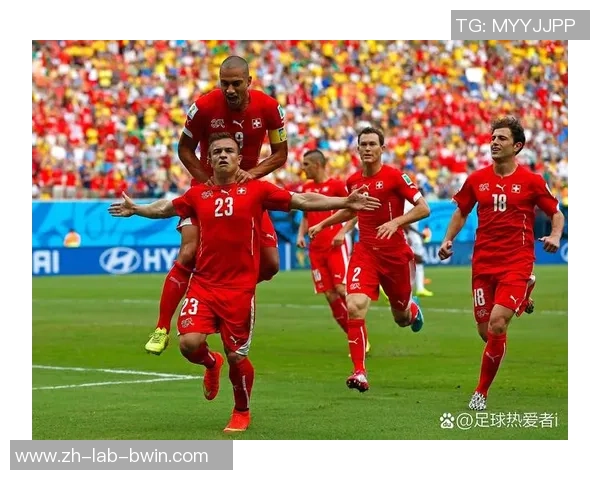 瑞典足球的崛起与挑战探索北欧足球的魅力与未来发展之路