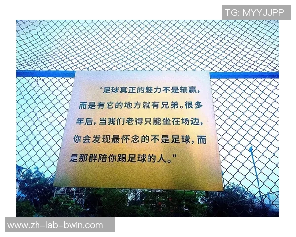 足球烯相邻的魅力与挑战探讨如何推动足球文化的创新与发展