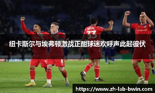 纽卡斯尔与埃弗顿激战正酣球迷欢呼声此起彼伏