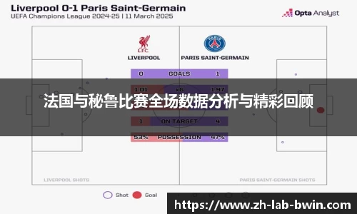 法国与秘鲁比赛全场数据分析与精彩回顾